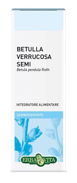 Gemmoderivato betulla semi ebv