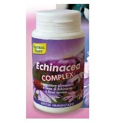 Echinacea Cpx 50 Capsule N p