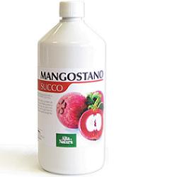 Mangostano succo 1lt a-natura