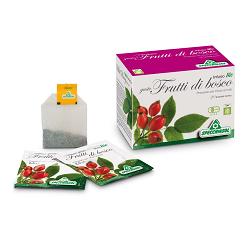 Infuso bio fruttabosco 20f.spe