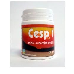 Cesp 1 Polvere 60g