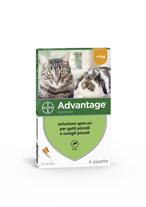 Advantage Antiparassitario Spot-On Gatti E Conigli Piccoli Peso Fino A 4 Kg 4 Pipette 0,4 Ml