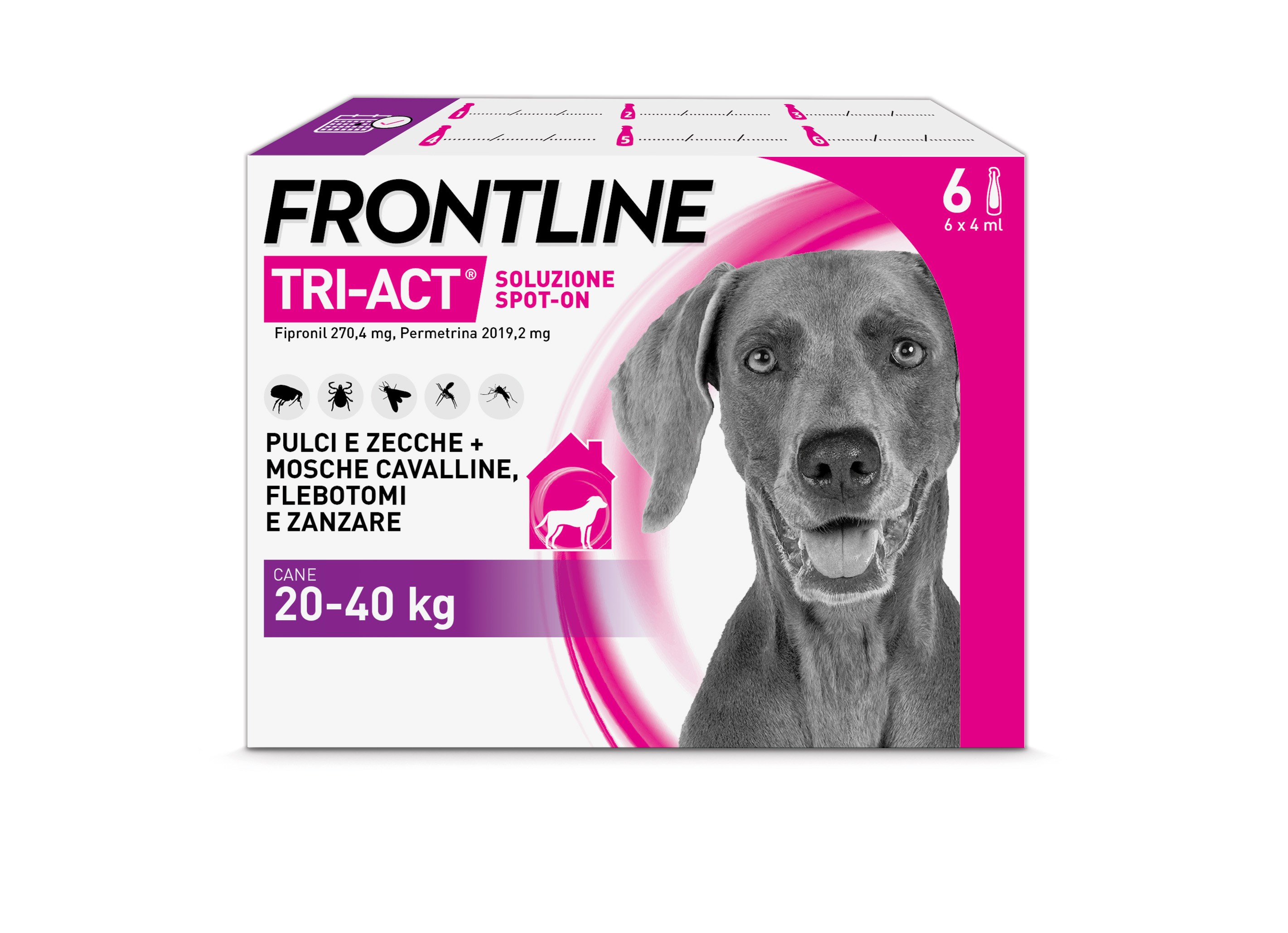 Frontline Tri Act x6 Pipette, Antiparassitario Per Cani e Cuccioli ...