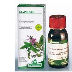 Sp.ribes nigrum 1dh gemme 50ml