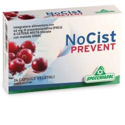 Nocist Prevent 24 Capsule