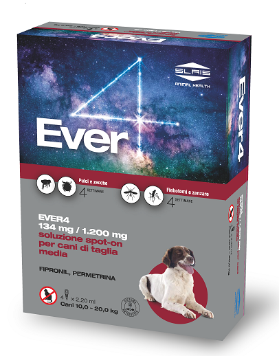 Ever 4 4Pip 2,20Ml 134+1200Mg