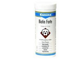 Biotin Forte Polvere 100G