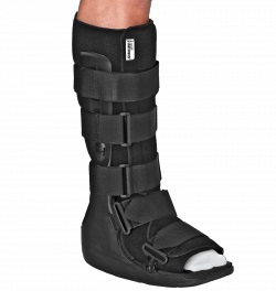 Gibaud-ort.walker tut.tibia2