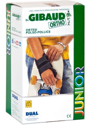 Gibaud-ort.j ort.polso-poll.sx