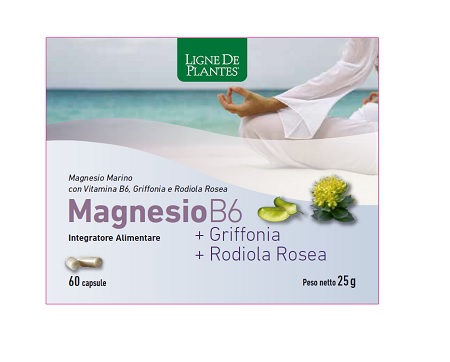 Magnesio.b6+griff.60 Capsule Nse
