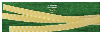 Gragnano e mafaldine 500g