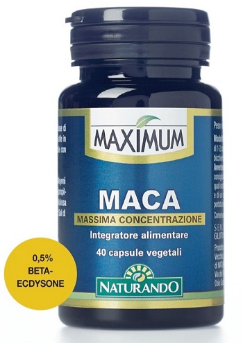 Maximum Maca 40 Capsule