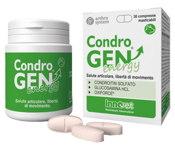 Condrogen Energy 30 Compresse