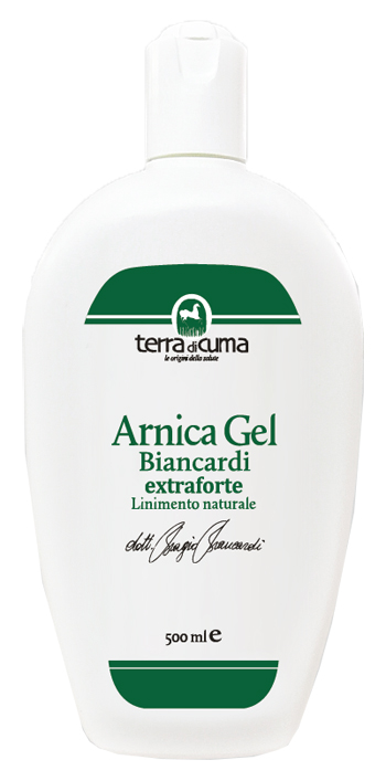 Arnica ex-fte gel equin.500ml