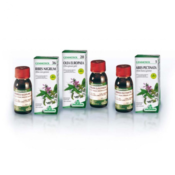 Sp.fico 24 gemmosol 50ml