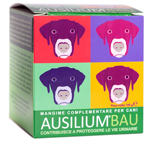 Ausilium Bau 100G
