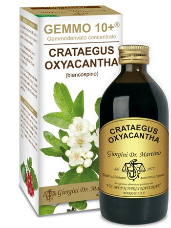 Biancospino gemmo 10+200ml
