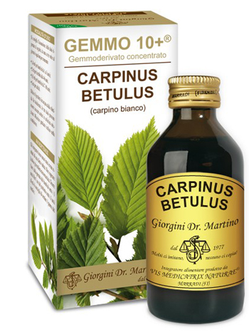 Carpino gemmo 10+ analc.100ml