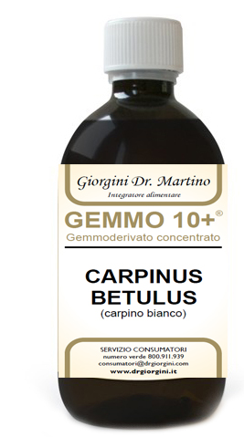 Carpino gemmo 10+ analc.500ml