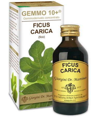 Giorgini Ficus Carica Gemmo 10+100Ml