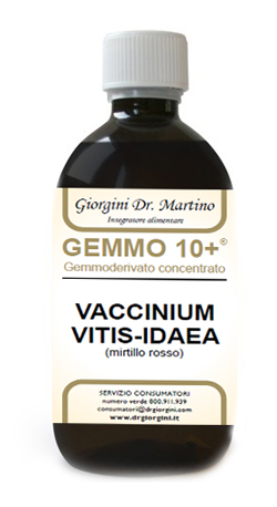Mirtillo rosso gemme 10+500ml