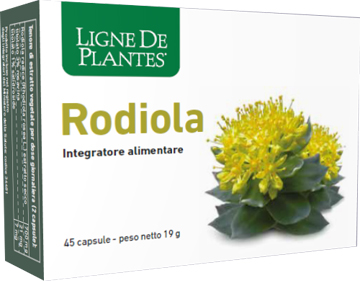 Rodiola 45 Capsule Nse