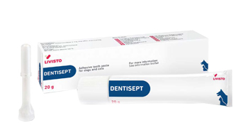 Dentisept Pasta Dentifricio 20G