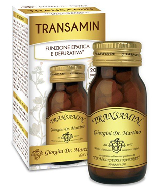 Transaminasi 100PAST 500MG N/F