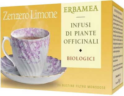 Zenzero/lim bio 20buste erbamea