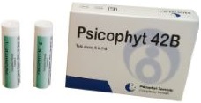 Psicophyt remedy 42b 4 tubi 1,2g