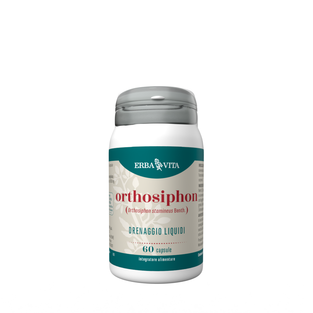 Orthosiphon 60 Capsule