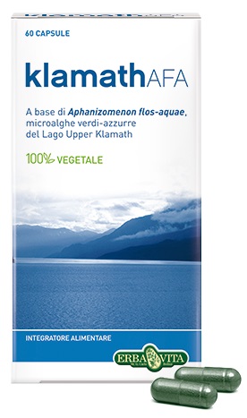 Argilla verde s-vent.300g ebv