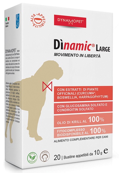 Dinamic Large 20 Bustine10G