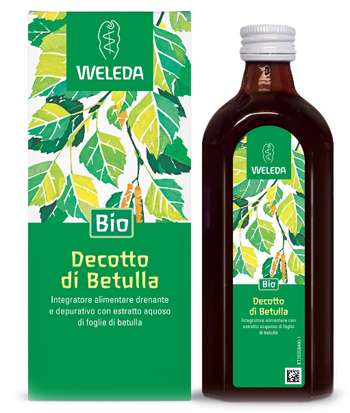 Betulla decotto 250ml we