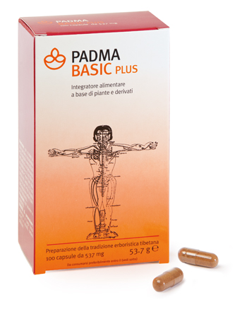 Padma Basic Plus 100capsule 537mg