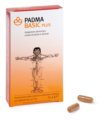 Padma Basic Plus 40capsule 537mg
