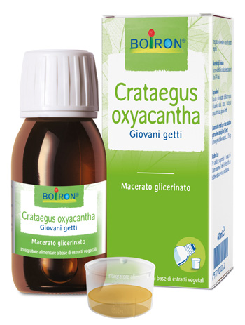 Bo.crataegus ox.1dh mg 60ml