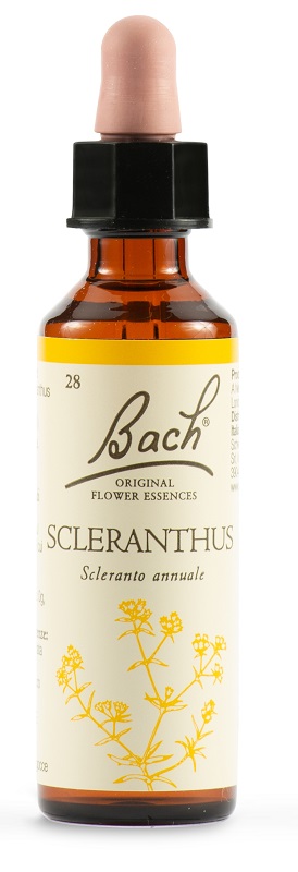 Bach 28 Sclerathus Gocce 20mllkr