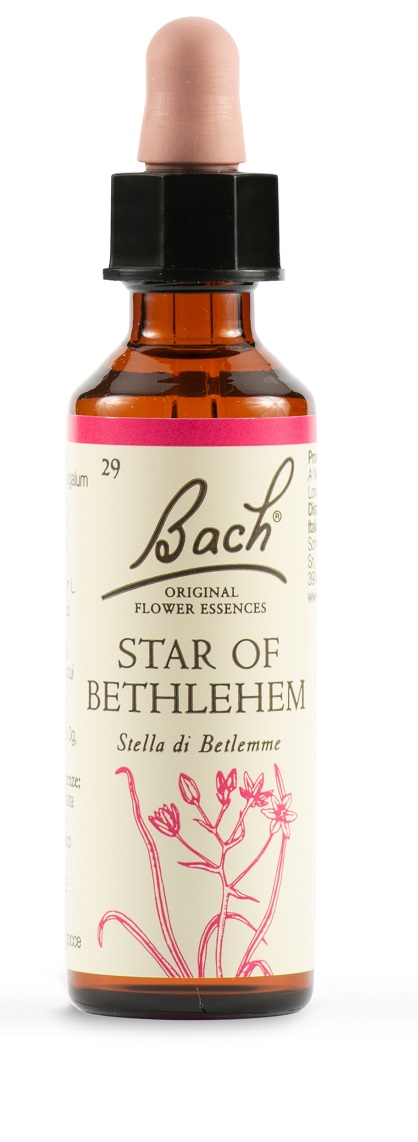 Bach 29 Star Bethl.gocce 20mllkr