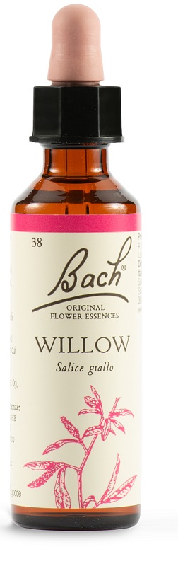 Willow bach orig 38 20ml
