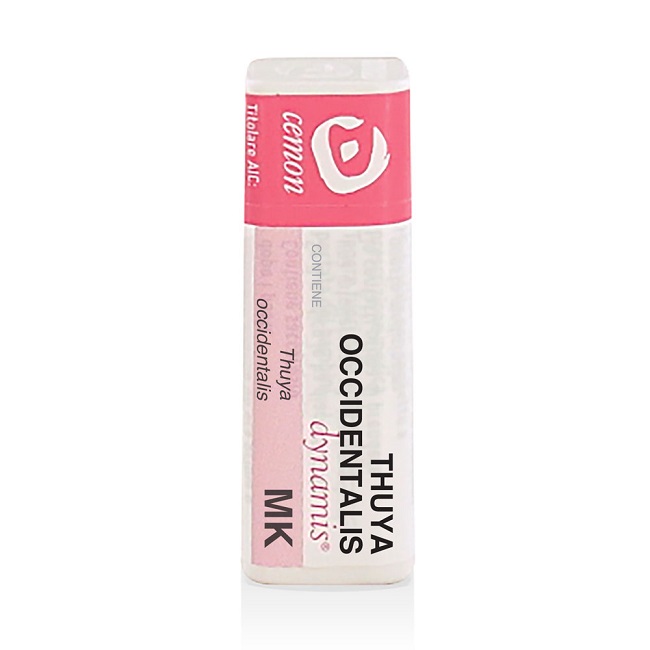Thuya occident mk gl und