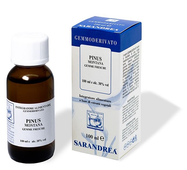 Extragem pino mugo gemme 20ml