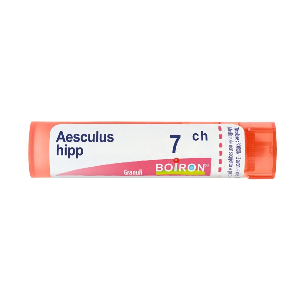 Aesculus hippoc 7ch gr bo