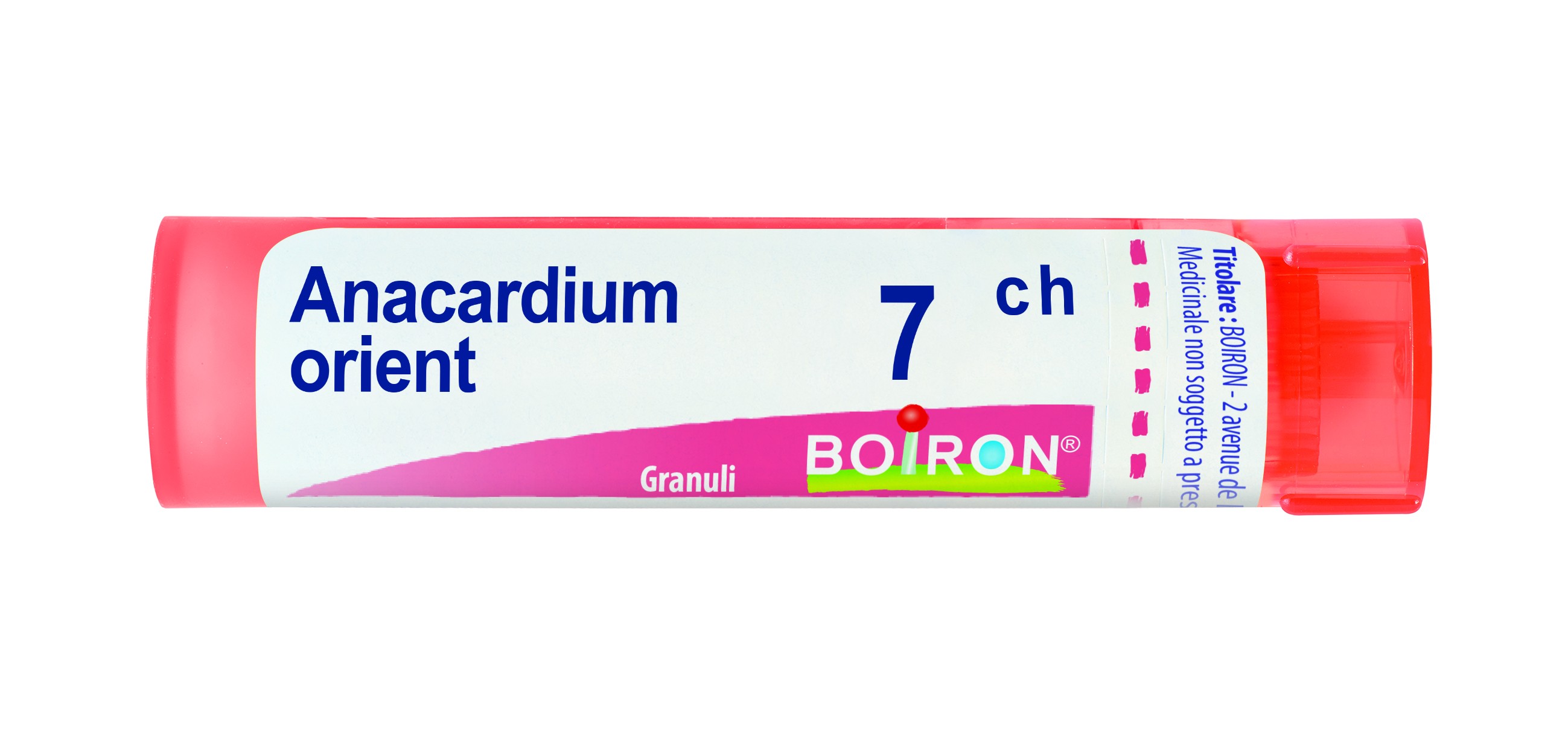 Anacardium orient 7ch gr