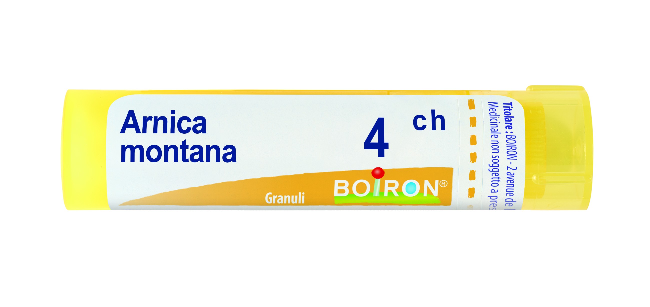 Arnica montana 4ch gr