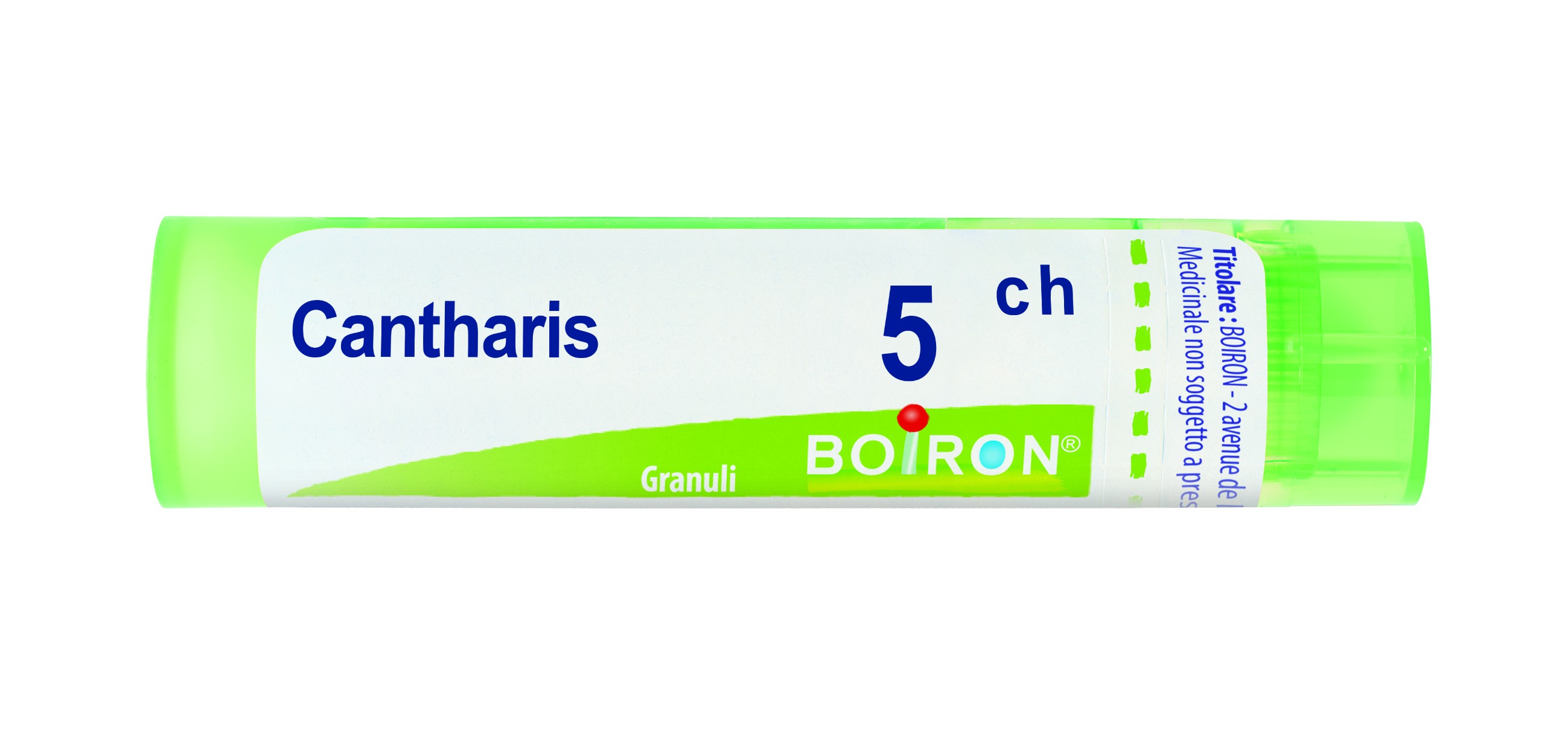 Cantharis Gr 5Ch Bo