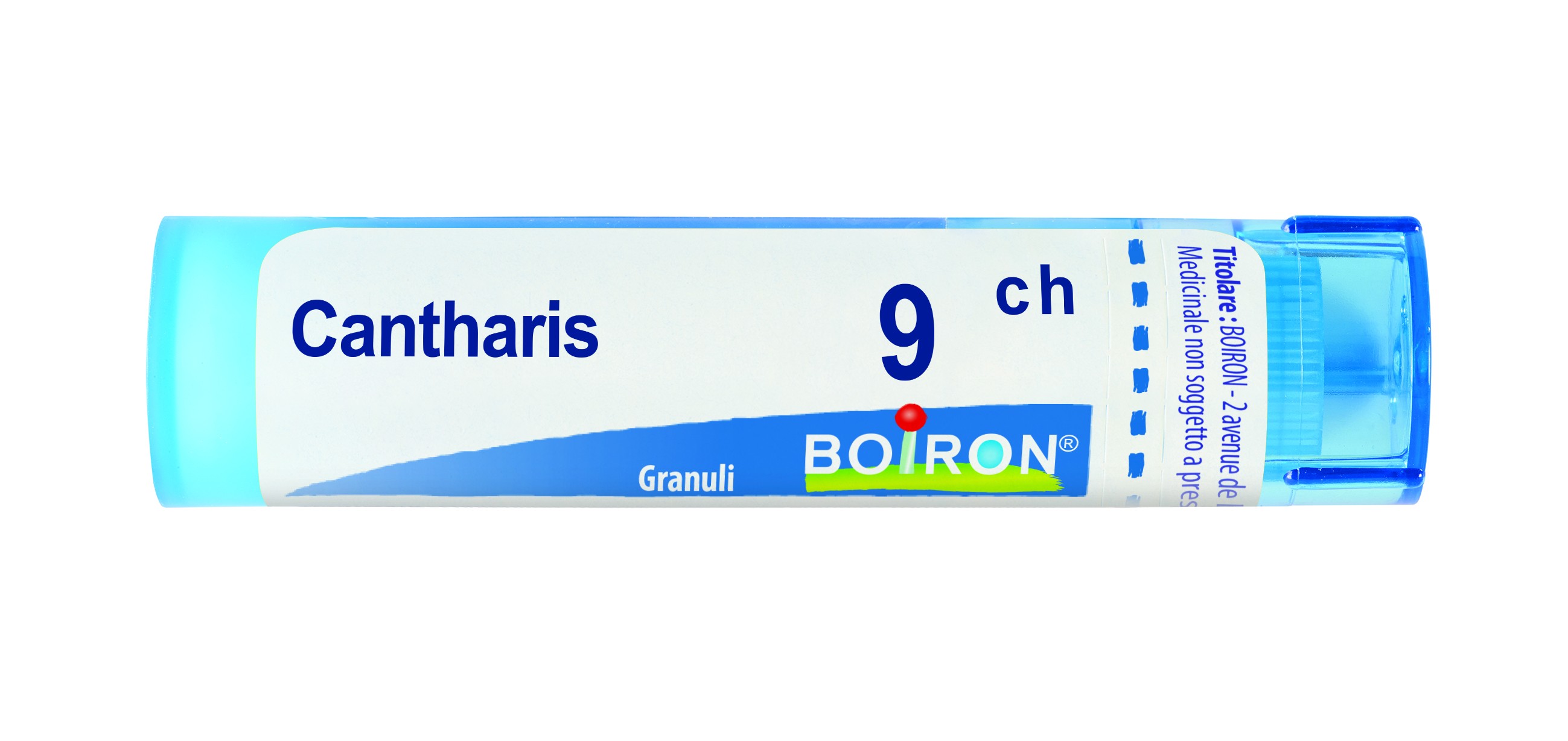 Cantharis gr 9ch bo