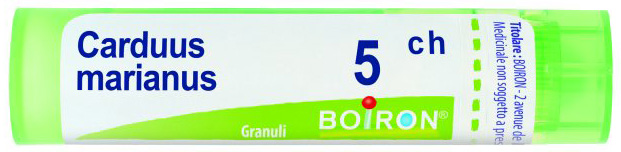 Carduus marianus 5ch gr bo