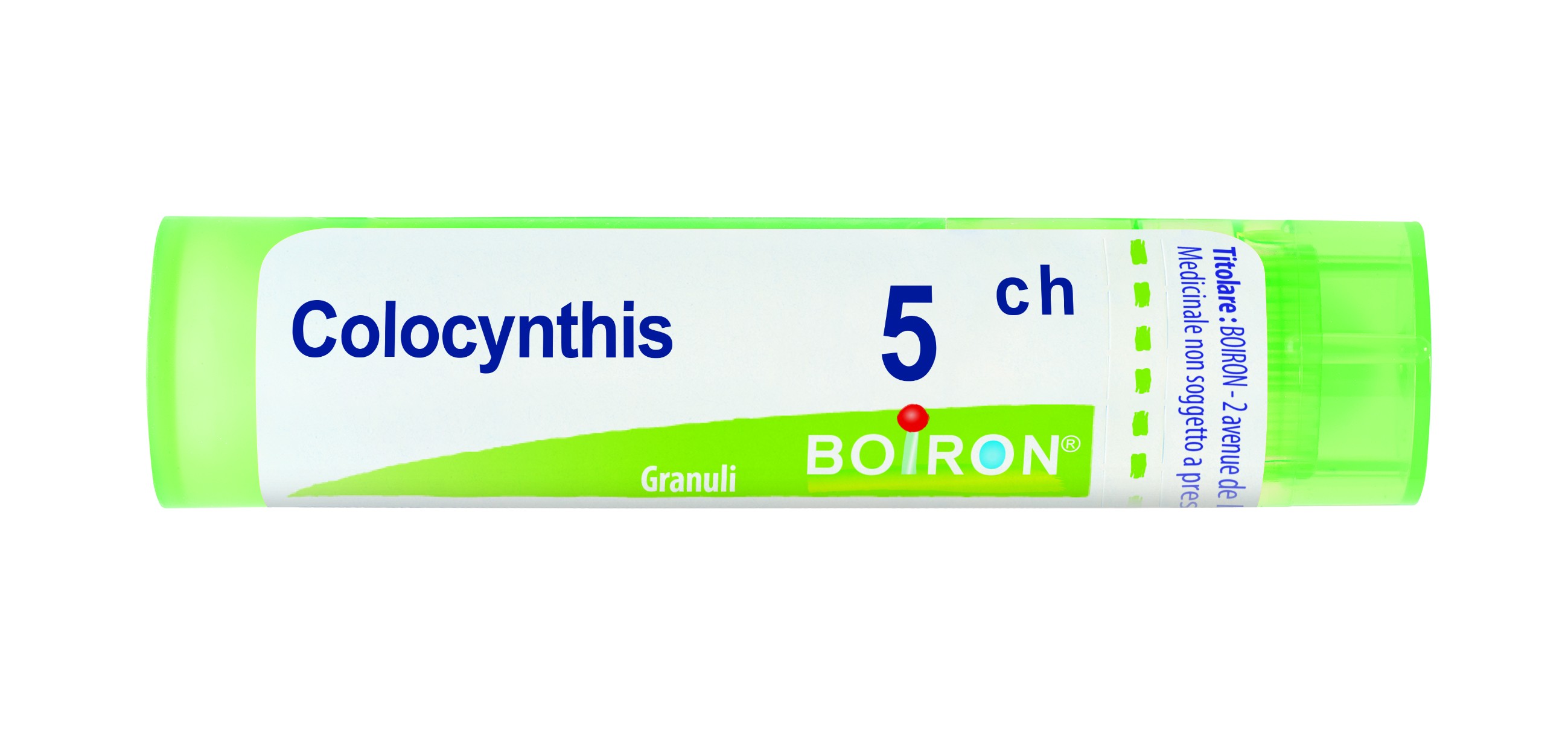 Colocynthis 5ch gr bo