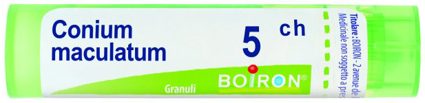Conium maculatu 5ch gr bo